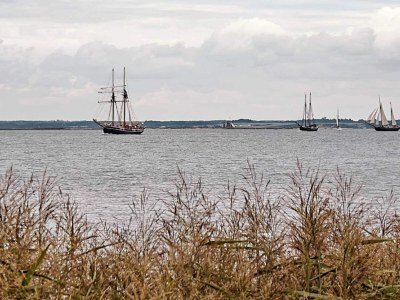 Holiday house 4 Personen Ferienhaus in Farsø-By Traum - Outdoor photo 35