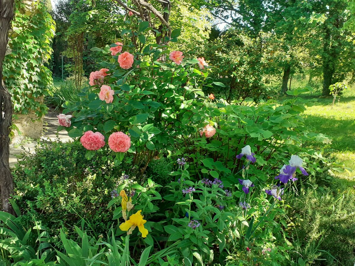 Holiday house La Tonnelle - Outdoor photo 4