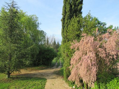 Holiday house La Tonnelle - Outdoor photo 7