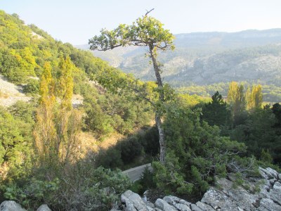 Holiday house La Tonnelle - Environment photo 23