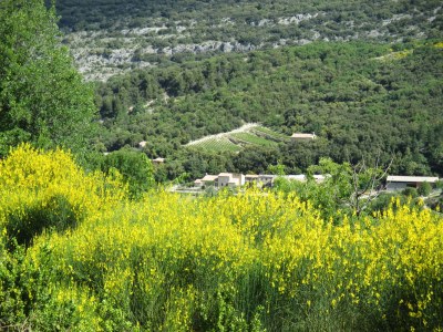 Holiday house La Tonnelle - Environment photo 26