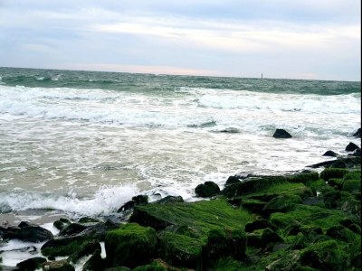 Apartment Ferienwohnung in Westerland - Environment photo 37