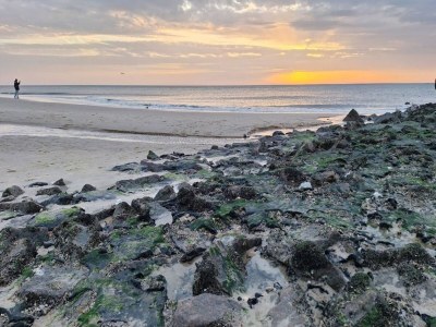 Apartment Haus-Nr: DNS10060-CYA - Environment photo 30