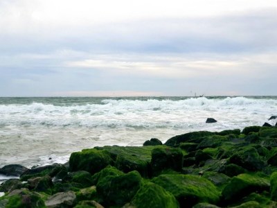 Apartment Ferienwohnung in Westerland auf Sylt - Environment photo 34