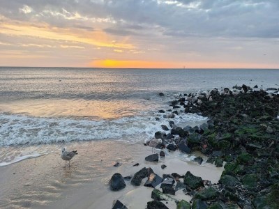 Apartment Ferienwohnung in Westerland auf Sylt - Environment photo 44