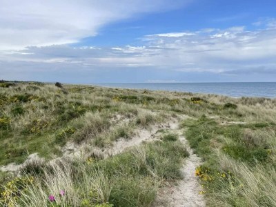 Holiday house 6 Personen Ferienhaus in Hadsund-By Traum - Outdoor photo 37