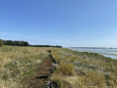 Holiday house 6 Personen Ferienhaus in Hadsund-By Traum - Outdoor photo 49