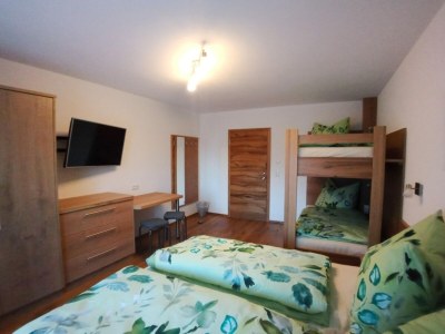 Holiday house Beautiful holiday flat in Krimml near waterfalls - Features photo 8