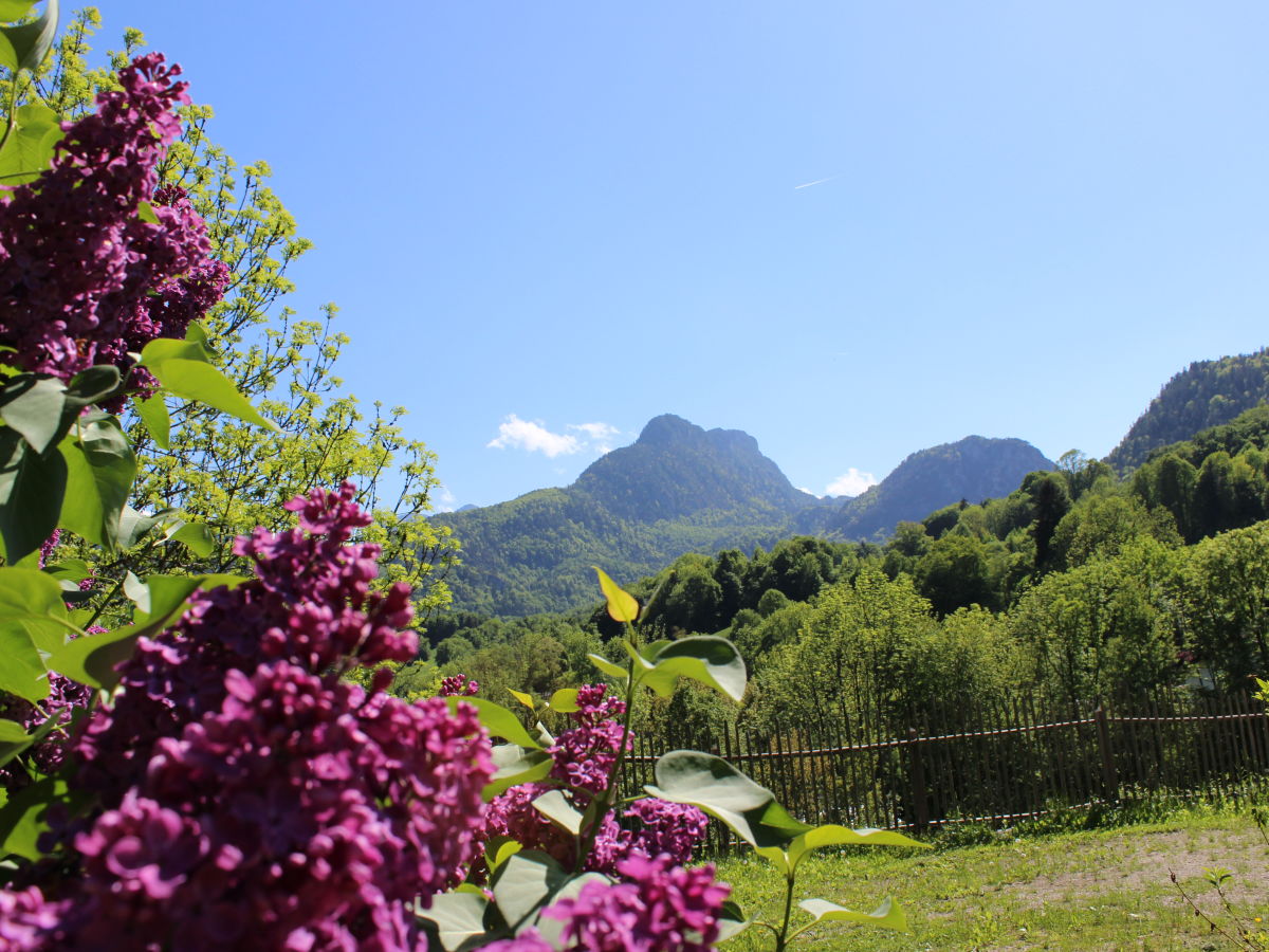 Holiday apartment Hochstaufen - Landhaus Leitner - Outdoor photo 4