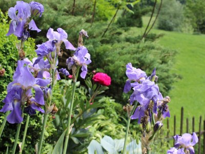 Holiday apartment Hochstaufen - Landhaus Leitner - Outdoor photo 5