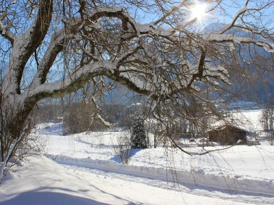 Holiday apartment Hochstaufen - Landhaus Leitner - Environment photo 15