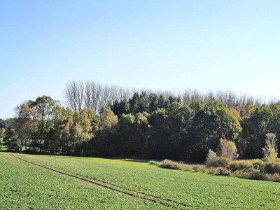 Apartment Ferienhof Mirow, Mirow - Outdoor photo 2