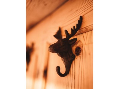 Apartment Apartment Jöchelspitze mit 2 Schlafzimmer - Features photo 25