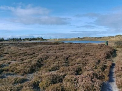 Holiday house Modernes Refugium in Graerup -- By Traum Ferienwohnungen - Outdoor photo 47