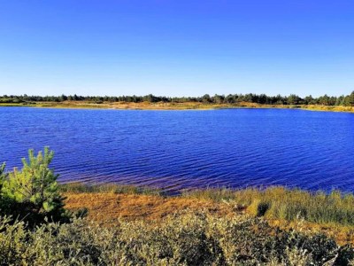 Holiday house Modernes Refugium in Graerup -- By Traum Ferienwohnungen - Outdoor photo 48