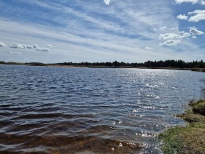 Holiday house Modernes Refugium in Graerup -- By Traum Ferienwohnungen - Outdoor photo 49