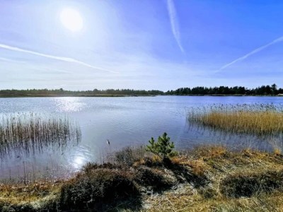 Holiday house Modernes Refugium in Graerup -- By Traum Ferienwohnungen - Outdoor photo 50