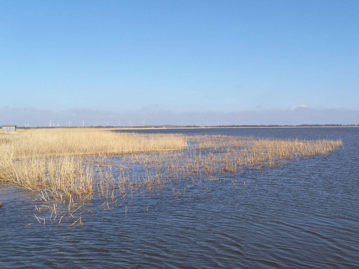 Holiday house 7 Personen Ferienhaus in Ulfborg-By Traum - Outdoor photo 2