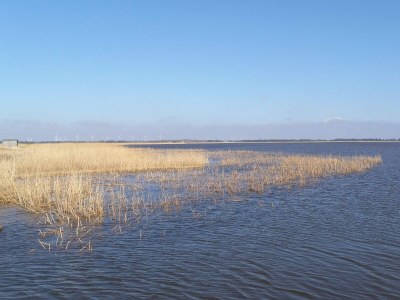 Holiday house 7 Personen Ferienhaus in Ulfborg-By Traum - Outdoor photo 2