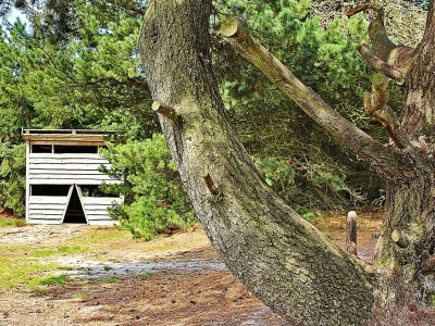 Holiday house 7 Personen Ferienhaus in Ulfborg-By Traum - Outdoor photo 7