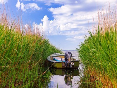 Holiday house 7 Personen Ferienhaus in Ulfborg-By Traum - Outdoor photo 10
