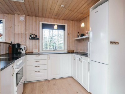 Holiday house 7 Personen Ferienhaus in Ulfborg-By Traum - Outdoor photo 15