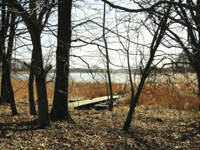 Apartment Ferienwohnung, Lohmen - Environment photo 10