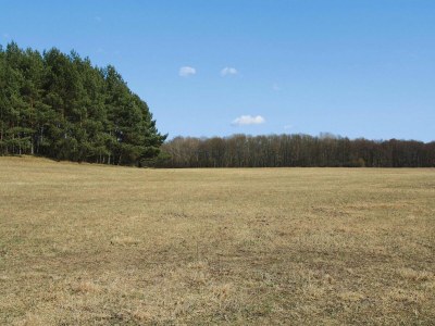 Apartment Ferienwohnung, Lohmen - Environment photo 11