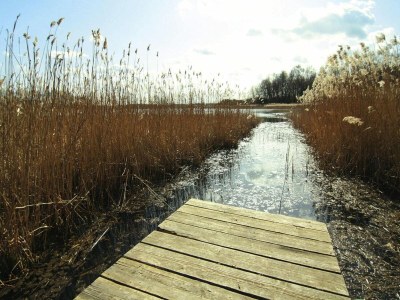 Apartment Ferienwohnung, Lohmen - Environment photo 12