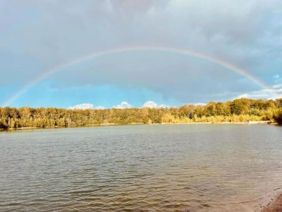 Holiday park Tranquil Stay in Drenthe - Environment photo 10