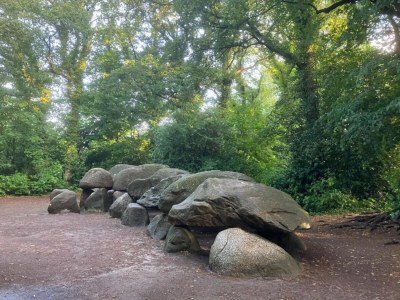 Holiday park Tranquil Stay in Drenthe - Environment photo 12