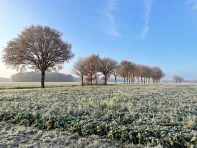 Holiday park Tranquil Stay in Drenthe - Environment photo 15
