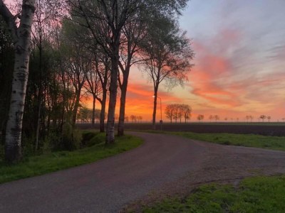 Holiday park Tranquil Stay in Drenthe - Environment photo 17