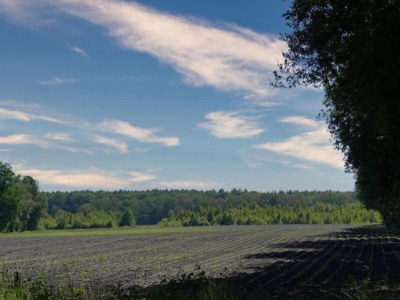 Holiday park Tranquil Stay in Drenthe - Environment photo 18