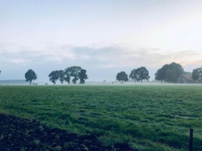 Holiday park Tranquil Stay in Drenthe - Environment photo 23