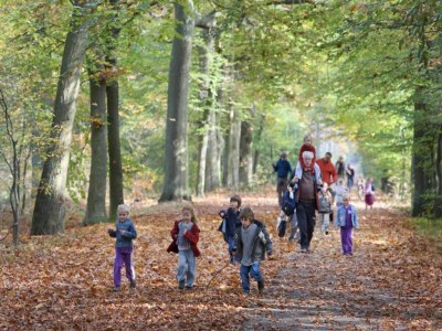 Holiday park Tranquil Stay in Drenthe - Environment photo 25