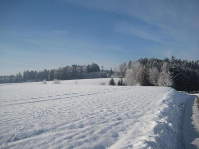 Apartment Wohnung in Rotthalmünster mit Garten - Environment photo 21