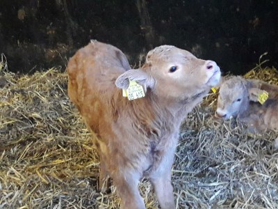 Apartment 4 Bett-Fewo Elbbachblick - Outdoor photo 7