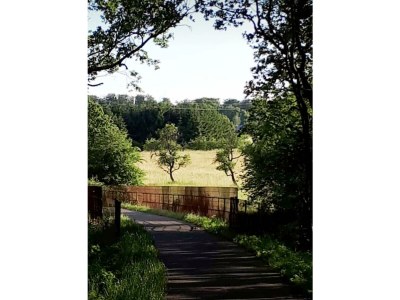 Apartment 4 Bett-Fewo Elbbachblick - Outdoor photo 9