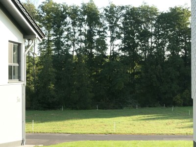 Apartment 4 Bett-Fewo Elbbachblick - Outdoor photo 13