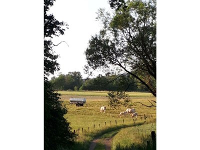 Apartment 4 Bett-Fewo Elbbachblick - Outdoor photo 16