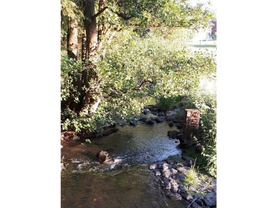 Apartment 4 Bett-Fewo Elbbachblick - Outdoor photo 17