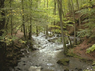 Apartment 4 Bett-Fewo Elbbachblick - Outdoor photo 24