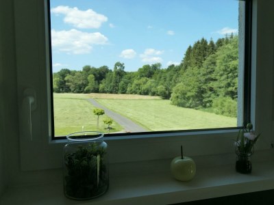 Apartment 4 Bett-Fewo Elbbachblick - Features photo 29