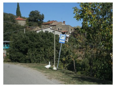 Holiday apartment Countryhouse L'ARIETE - Outdoor photo 7