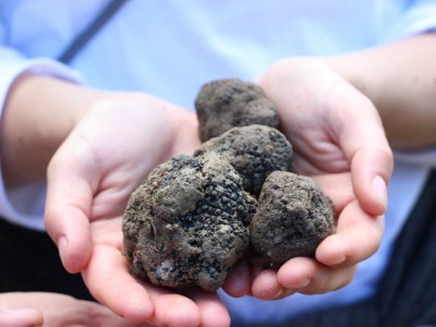 Holiday apartment Countryhouse L'ARIETE - Outdoor photo 9