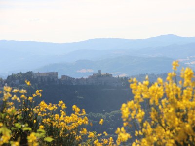 Holiday apartment Countryhouse L'ARIETE - Outdoor photo 11