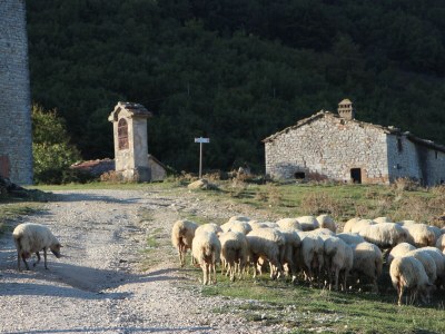 Holiday apartment Countryhouse L'ARIETE - Environment photo 28