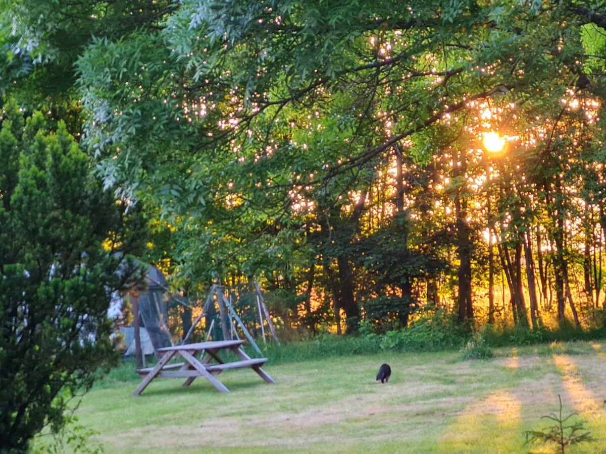 Apartment Fewo Ollywood - 1 Schlafraum Fewo, Dusche, WC, - Outdoor photo 3