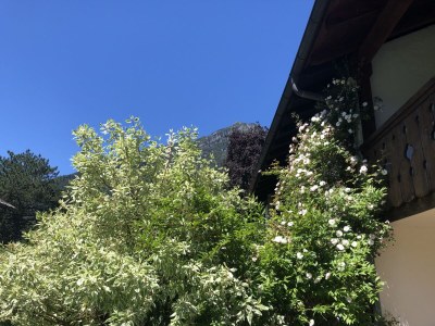 Holiday house Angelika - Outdoor photo 6